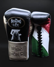 Canelo vs Crawford – Limited Edition Fight Gloves