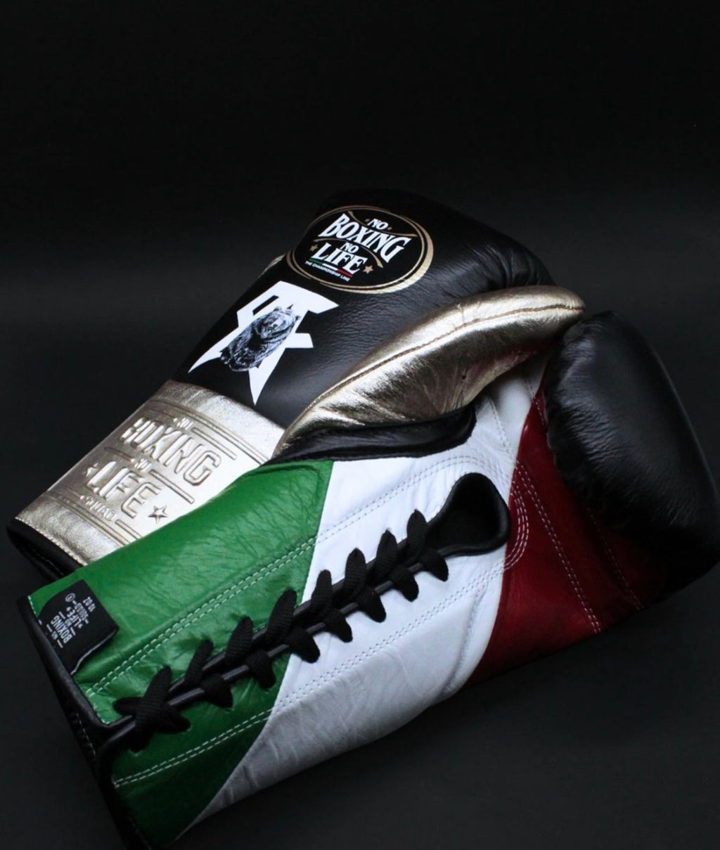 Canelo vs Crawford – Limited Edition Fight Gloves