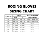 Winning Boxing Gloves - Silver Purple